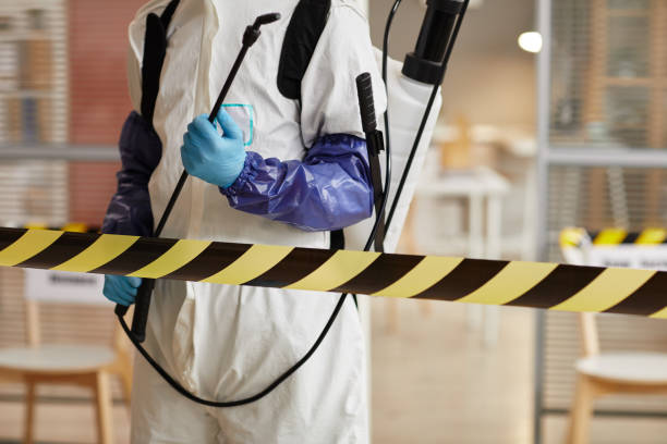 Professional Odor Removal technician working in Parker City, IN